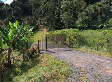 Foto 01 · Fazenda à venda em Campina Grande do Sul com 50 alqueires