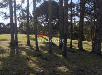 Terreno · 400m² · Lote em  Rua Leopoldo Stahnke - São Bernardo  - São Francisco de Paula/RS