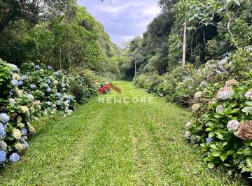 Terreno · 600m² · Lote em  Rua 21 - Alpes - São Francisco de Paula/RS