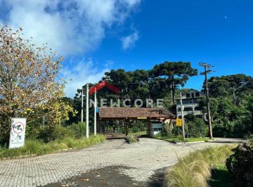 Terreno · 9700m² · Lote em Rua 6 Alpes - Alpes - São Francisco de Paula/RS