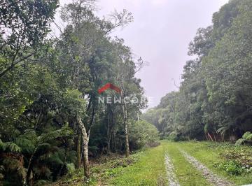 Terreno · 1m² · Lote em  Rua 6 do Alpes - Alpes - São Francisco de Paula/RS