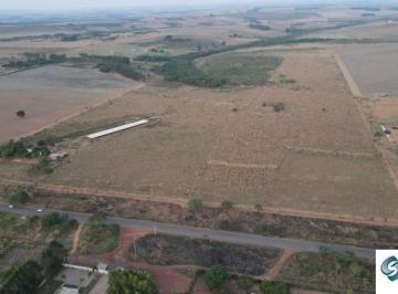Foto 01 · CAFÉ SEM TROCO - FAZENDA COM 47 HECTARES BEIRA DO ASFALTO