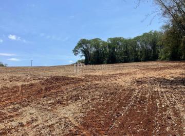 Rural · 8ha · Sítio à venda próximo ai trevo de Uraí