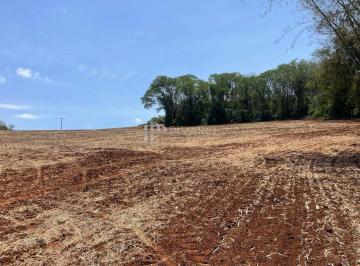 Rural · 8ha · Sítio à venda próximo ai trevo de Uraí