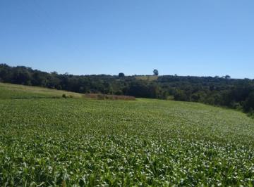 Foto 01 · Sítios 6 Alqueires, Sem Casa, Só Terra, Rico Em Água, 25 km De Itapetininga