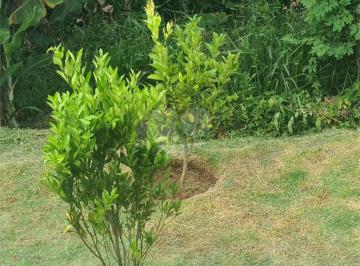 Área de Serviço · Terreno à venda em Roseira - SP