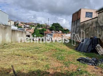 07a8605a-14f9-4ef6-8645-55a50a48bf3d.webp · Terreno à Venda, Parque São Pedro - Venda Nova, Belo Horizonte