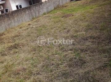 foto terreno clarissa .jpg · Terreno, 415 m², em São José