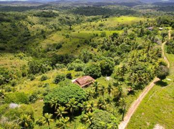 202503251634511410.jpg · Fazenda na Tibina