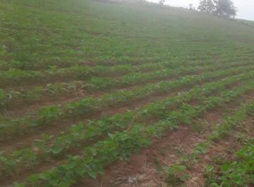 Foto 01 · sítio com 12 alqueires em pilar do sul a 5 km do asfalto com documentação 100 %  uma casa ! Ótima Op