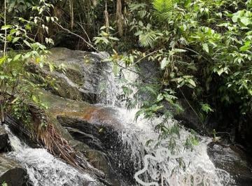 Foto 27 · SÍTIO 7 ALQUEIRES COM CACHOEIRA EXUBERANTE IDEAL PARA EMPREENDIMENTO DE CENTRO DE LAZER !