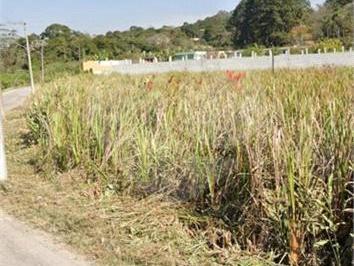 Área de Serviço · Área de Terra à venda em Recanto Campo Belo - SP