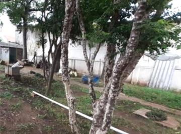Terreno · 780m² · 3 Quartos · 2 Vagas · Terreno com 3 quartos à venda em Santana - SP