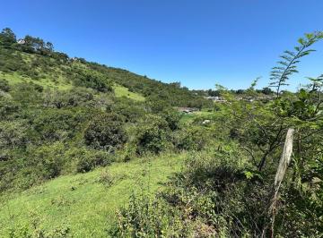 675106_i613y9jm5g6M5o4_6751066798cb9636b38.jpg · Terreno em Garopaba- SC
