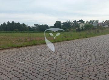 1425239_iGb12sv5tja185S_1425239677ec4b869bda.jpg · Terreno à venda - em São Virgílio da Sexta Légua
