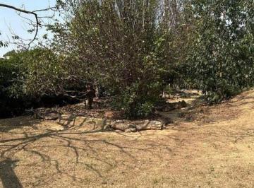 Terreno · 638m² · Condomínio Caminhos de San Conrado (Sousas)