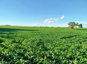 Rural , Douradina · Sitio com 75 hectares de terra para lavoura em Douradina