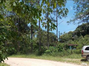 61d51fd263f5c29d3b6d4d49fd22179cdc3dc561 · Sítio com 2 dormitórios à venda, 173000 m² por R$ 951.500,00 - Zona Rural. - Juquiá/SP