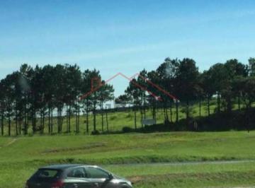 Foto 01 · Oportunidade única de investimento: área comercial de 10.900m² na Vila Artura, Sorocaba-SP!