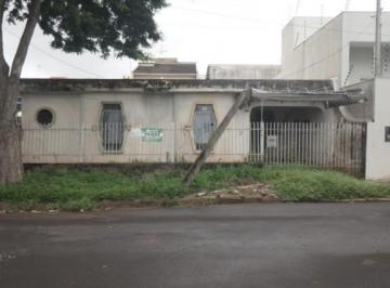 8104311100.jpg · Jardim Tupinambá                                                                                    