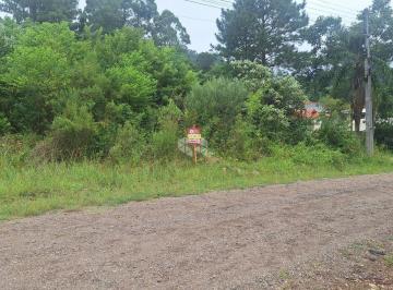 680607_iM6183w431XJY7E116d_68060767ade8a2f3f55.jpg · Terreno na serra gaúcha com 450 m2 em área residencial de constante valorização.
