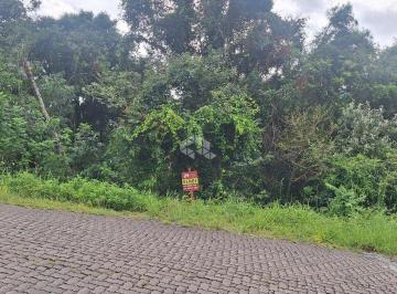 680574_i87l2_68057467c7018e2da11.jpg · Terreno na serra gaúcha com 465 m2 em área residencial de constante valorização.
