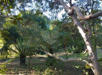 Área de Serviço · Terreno à venda em Vila verde - RJ
