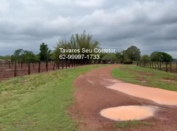 Foto 01 · Oportunidade Única: Fazenda à venda em  Xinguara-PA, Porteira fechada. 
