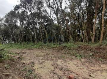 Terreno · 1800m² · Chácara à venda no Bairro Agaraú em São José dos Pinhais Pr.
