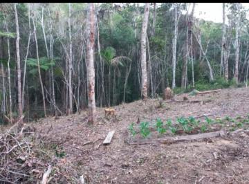 Terreno , Juquitiba · EXCELENTE TERRENO PARA FORMAR SUA CHÁCARA COD: 5504 F:(11) 97302-9229 CESAR