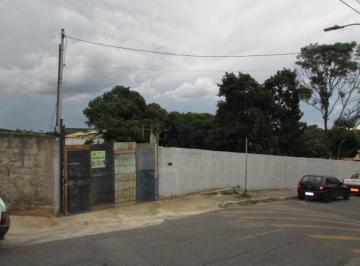 93527_30-1_091234.jpg · LOTE COM 2.500M