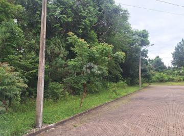 681041_ib13G8d24_68104167c6fa7fd48aa.jpg · Terreno na serra gaúcha com 370 m2 em área residencial de constante valorização.