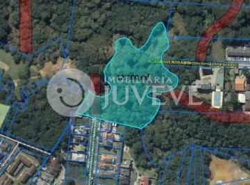 16621910200.jpg · IMOBILIARIA JUVEVÊ VENDE TERRENO SANTA FELICIDADE MANOEL RIBAS FAMILIA MADALOSSO SÃO CRISTOVÃO OSVAL