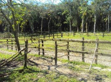 202501250921416223.jpg · Chácara para Venda em Itanhaém, Coronel, 1 dormitório, 1 banheiro