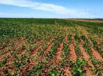 Rural · 1200m² · 1 Quarto · FAZENDA IMPERDÍVEL EM PARANATINGA/MT