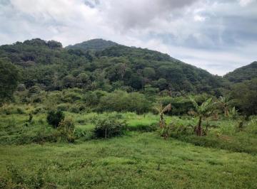 Foto 01 · Sitio, Campo Grande, Rio de Janeiro, RJ
