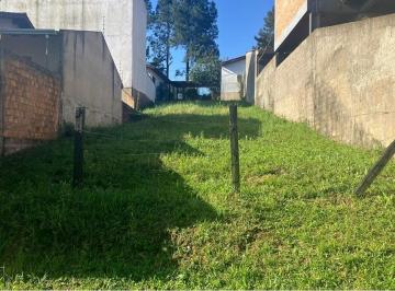 Terreno · 226m² · LDPSN 195 Lote 612541023-10