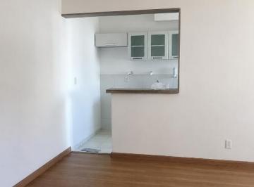 Apartamento · 47m² · 2 Quartos · 1 Vaga · Apartamento para aluguel 2 quartos 1 vaga Planalto - São Bernardo do Campo - SP