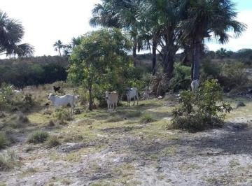 Rural , Arinos · VENDO FAZENDA EM ARINOS (MG) COM MUITA AGUA UM LUGAR PRA DESCANSAR 98150-8787