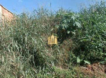 Foto 01 · Terreno à Venda em Fernão Dias ? 450m², Plano, R$100 Mil