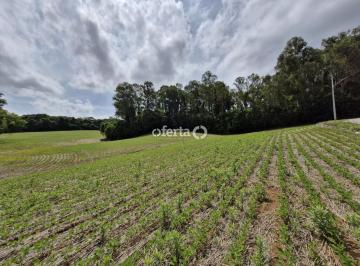 Rural · 54450m² · Chácara em Araucária / Campina das Palmeiras
