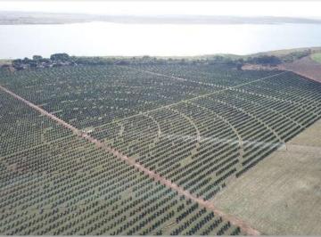 Foto 01 · Fazenda de luxo à venda em Cardoso-SP, Zona Rural: 3 quartos, 1 suíte, 3 salas, 2 banheiros, 3 vagas