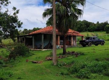 Foto 01 · EXCELENTE FAZENDA A VENDA EM SÃO MIGUEL ARCANJO-SP ??   Área Total: 75 Alqueires  Aproveitamento: 65