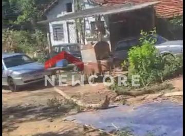 Rural · 150m² · 4 Quartos · 14 Vagas · Chácara em  Rua Dilma Dias Baptista - Chácara Santa Margarida - Campinas/SP