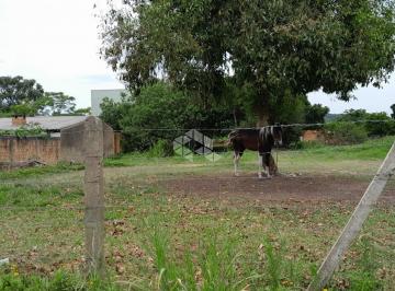 642629_i85R7Q4Sj3Fp8H1_64262966e0994275553.jpg · Terreno plano e limpo  20x50m² bairro Lajeado em porto Alegre