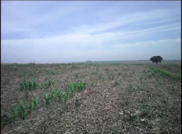 202502111912007638.png · Magnifica área 1.048.979m² Frente Para Marginal daRodovia Bandeirantes Em Sumaré
