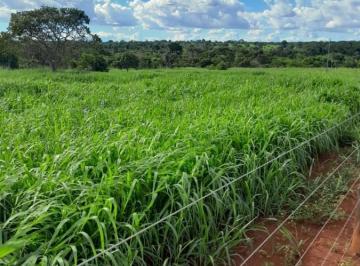202510291512332812.jpg · Fazenda para Venda em Barro Alto