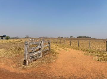 20241129_112339_632187.jpg · Fazenda dupla aptidão região de Nobres
