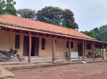 20241204_181004_834562.jpg · Fazenda Região Poxoréu
