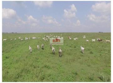 76df4edf8164609bcb7e14d6774c8999.jpg · Fazenda na região de Campos de Julho - MT, com 27.600 hectares, com 3.200 hectares abertos, 400 hect